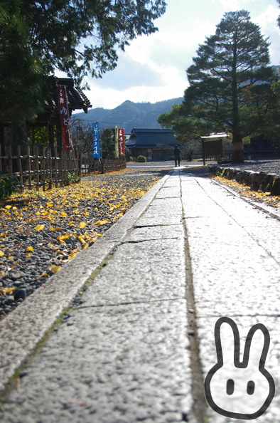 Arashiyama 051.jpg